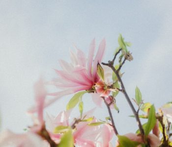 natalia-grela--6XD-t-jTKI-unsplash